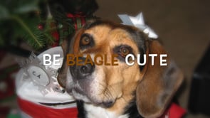 Beagle FX Promo Video for 2023 Ugly Hoodie