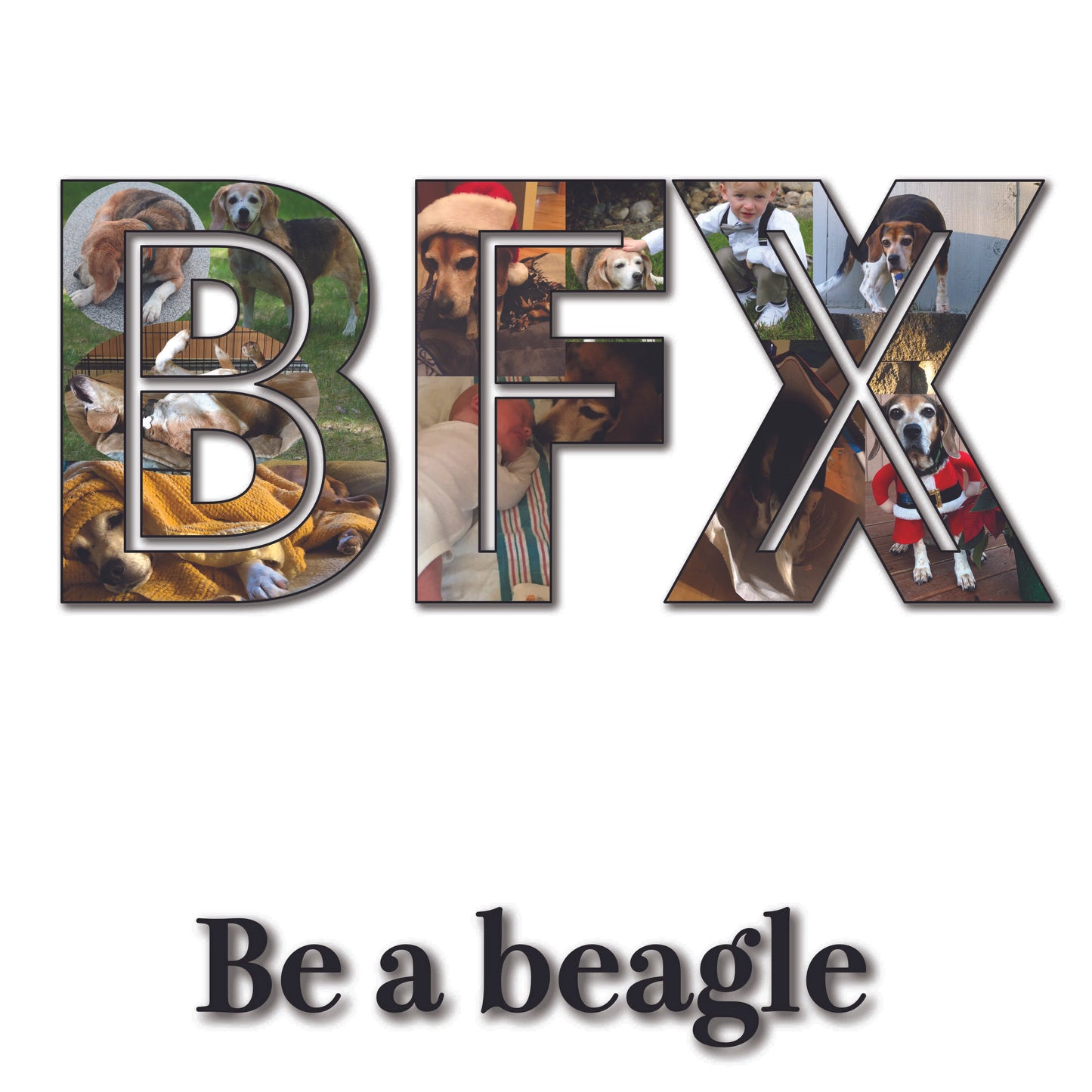 Photo Collage of BFX with beagles inset and "Be a beagle" at bottom